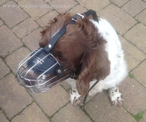 Springer Spaniel Wire Busket Muzzle with Super Air Circulation